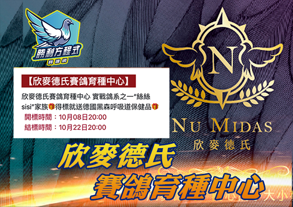 【欣麥德氏賽鴿育種中心】 絲絲鴿系  專場